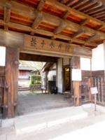 P4280499.jpg