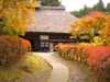 03-紅葉.jpg