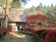 2011.11.24masako 002.JPG